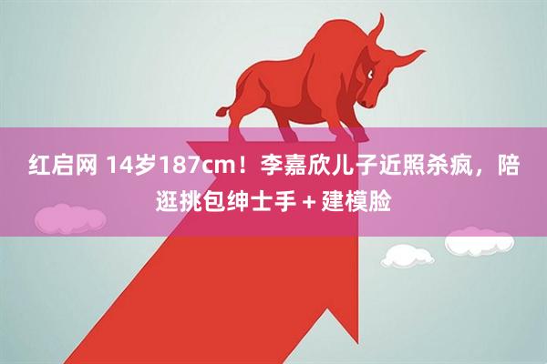 红启网 14岁187cm！李嘉欣儿子近照杀疯，陪逛挑包绅士手＋建模脸