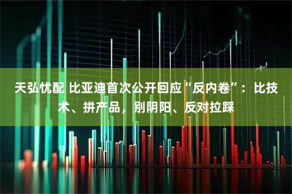 天弘忧配 比亚迪首次公开回应“反内卷”：比技术、拼产品，别阴阳、反对拉踩